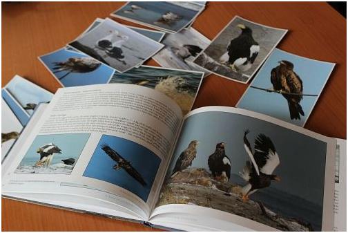 ����� ��������